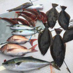ふじしめ丸 釣果