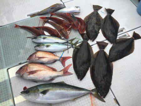 ふじしめ丸 釣果