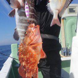 遊漁船 新鋭丸 釣果