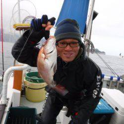 遊漁船 幸友丸 釣果