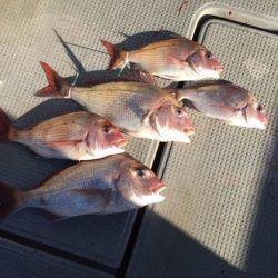 遊漁船高橋 釣果