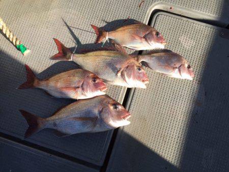 遊漁船高橋 釣果