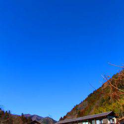 小菅トラウトガーデン 釣果