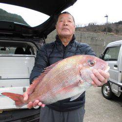 大進丸(新潟) 釣果