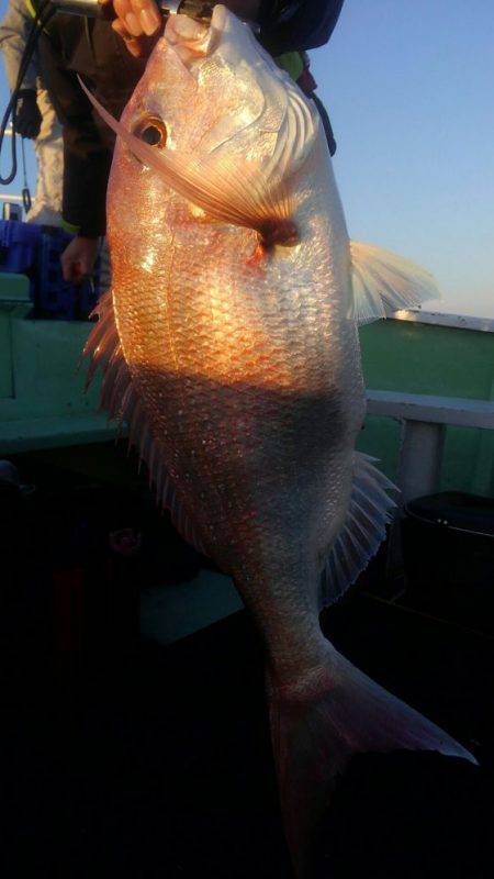 遊漁船 新鋭丸 釣果