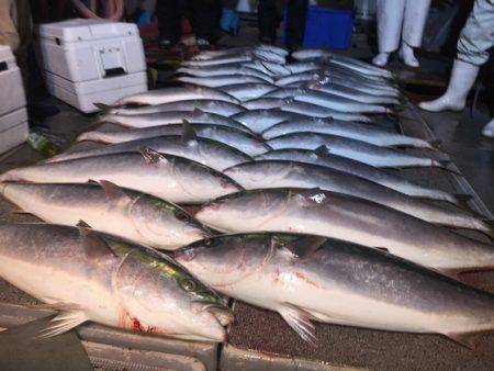 幸風（さちかぜ） 釣果