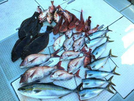 ふじしめ丸 釣果
