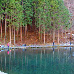 小菅トラウトガーデン 釣果