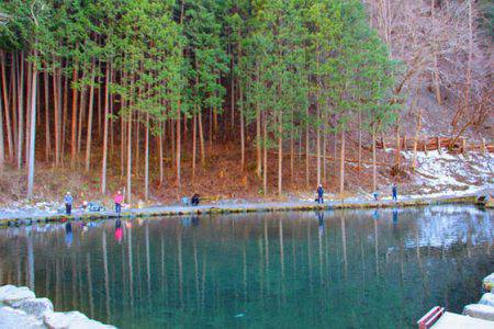 小菅トラウトガーデン 釣果