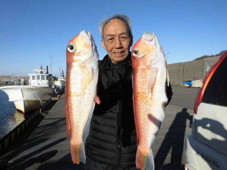 大進丸（新潟） 釣果