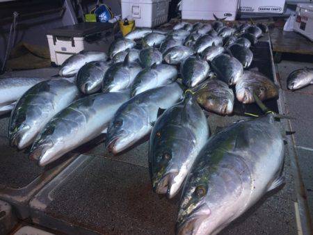幸風（さちかぜ） 釣果