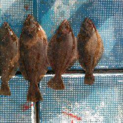 フィッシングガイド りょう 釣果