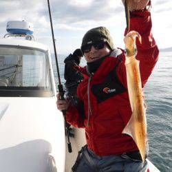 ＢｌｕｅＮｏｔｅ　Ｆｉｓｈｉｎｇ　Ｔａｘｉ 釣果