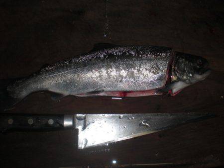 高萩ふれあいの里フィッシングエリア 釣果