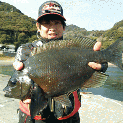 宮島丸 釣果