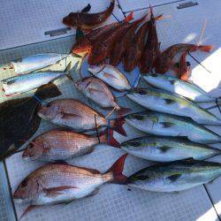 ふじしめ丸 釣果