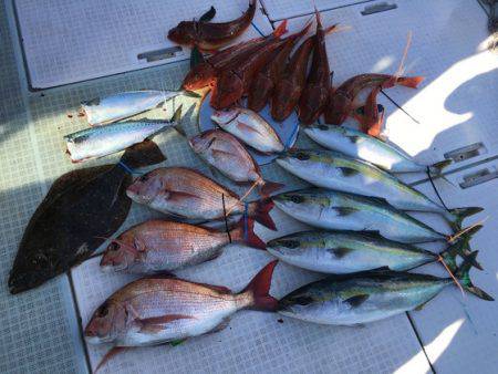 ふじしめ丸 釣果