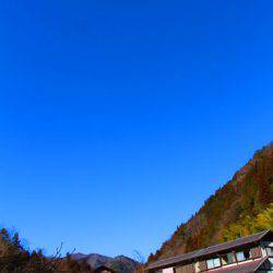 小菅トラウトガーデン 釣果