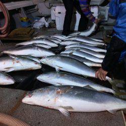 幸風（さちかぜ） 釣果