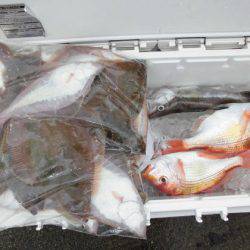 大進丸(新潟) 釣果