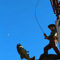 小菅トラウトガーデン 釣果