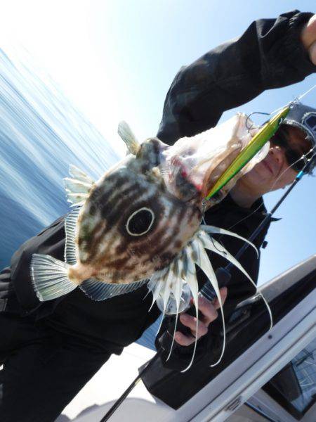 ＢｌｕｅＮｏｔｅ　Ｆｉｓｈｉｎｇ　Ｔａｘｉ 釣果