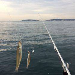 千葉方面にて冬のキス釣り【WK釣り日記 No.05】