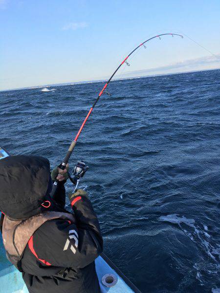 松鶴丸 釣果