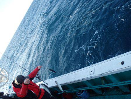 清和丸 釣果