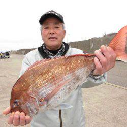 大進丸(新潟) 釣果