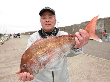 大進丸(新潟) 釣果
