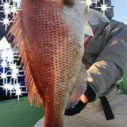 遊漁船 新鋭丸 釣果