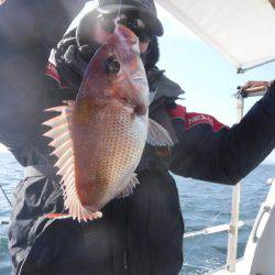 遊漁船 幸友丸 釣果