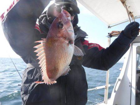 遊漁船 幸友丸 釣果