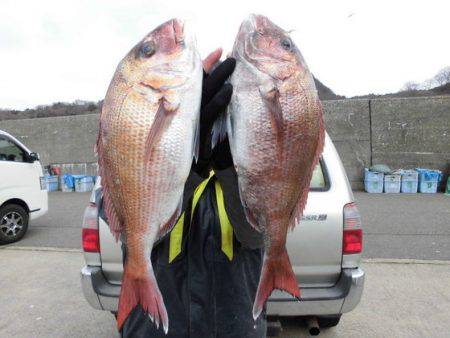 大進丸（新潟） 釣果