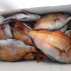 遊漁船 幸友丸 釣果