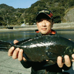 宮島丸 釣果