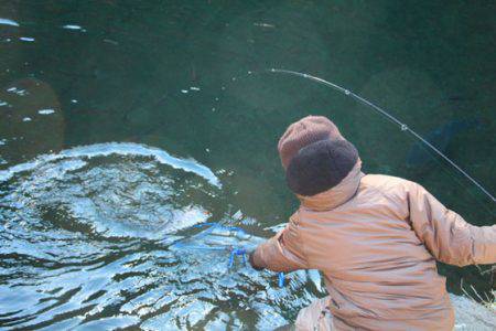 小菅トラウトガーデン 釣果
