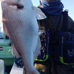 遊漁船 新鋭丸 釣果