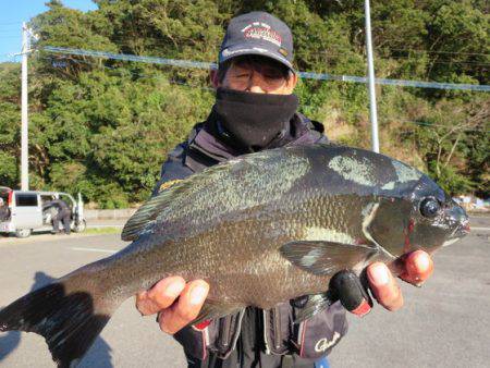 千津丸 釣果