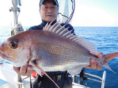 海晴丸 釣果