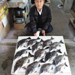 ふじや釣舟店 釣果