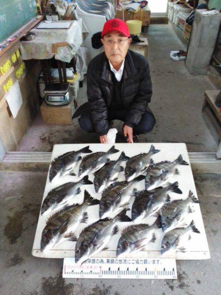 ふじや釣舟店 釣果