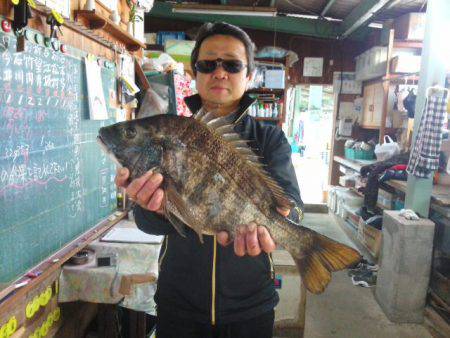 ふじや釣舟店 釣果