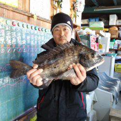 ふじや釣舟店 釣果