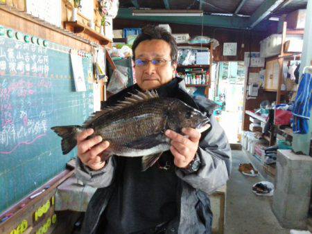 ふじや釣舟店 釣果