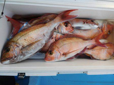 海晴丸 釣果