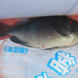 千津丸 釣果