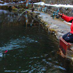 小菅トラウトガーデン 釣果