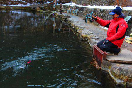 小菅トラウトガーデン 釣果